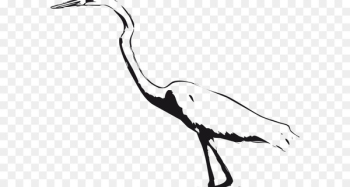 Crane Bird Green heron Great egret Great blue heron - crane Crane Bird Green heron Great egret Great blue heron - crane