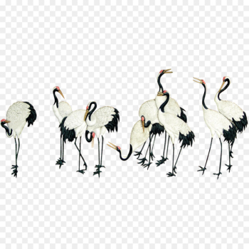 Crane Bird Resource - Crane Crane Bird Resource - Crane