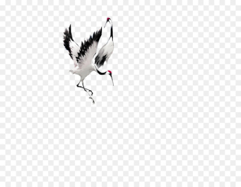 Crane Bucky Barnes Bird - Crane Crane Bucky Barnes Bird - Crane