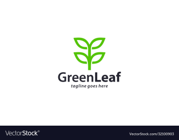 creative and modern green leaf for natural