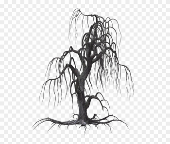 Creepy Tree 19 By Wolverine041269 On Clipart Library - Creepy Tree Drawing Creepy Tree 19 By Wolverine041269 On Clipart Library - Creepy Tree Drawing