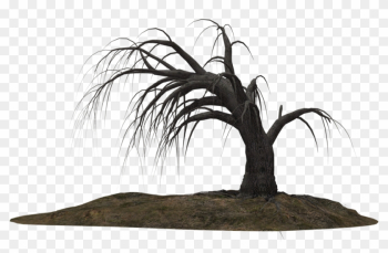 Creepy Tree 19 By Wolverine041269 On Clipart Library - Dead Tree Png Creepy Tree 19 By Wolverine041269 On Clipart Library - Dead Tree Png