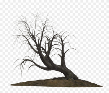 Creepy Tree 21 By Wolverine041269 On Clipart Library - Creepy Trees Png Creepy Tree 21 By Wolverine041269 On Clipart Library - Creepy Trees Png