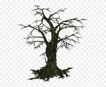 Creepy Tree - Creepy Tree Png