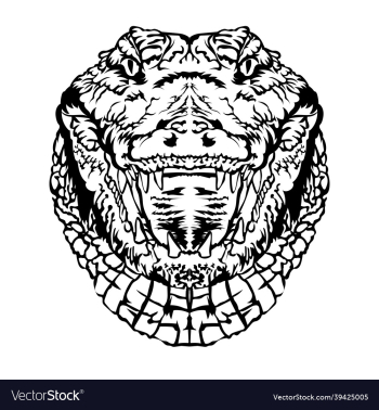 crocodile head crocodile head