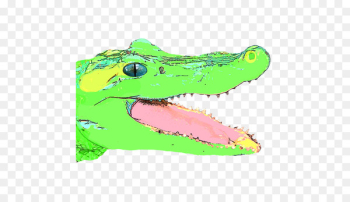 Crocodile Illustration Graphics Shoe Fauna - crocodile Crocodile Illustration Graphics Shoe Fauna - crocodile