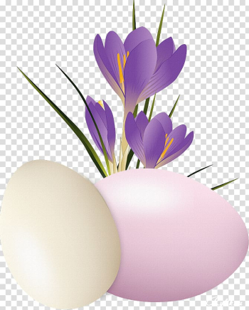 Crocus vernus Crocus flavus Crocus chrysanthus , happy spring! transparent background PNG clipart