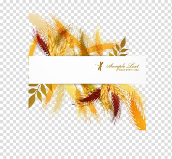 Crop , Hand autumn harvest wheat transparent background PNG clipart Crop , Hand autumn harvest wheat transparent background PNG clipart
