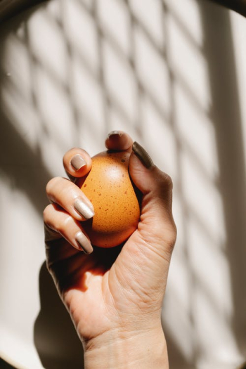 Crop unrecognizable woman grasping brown egg · Free Stock Photo Crop unrecognizable woman grasping brown egg · Free Stock Photo
