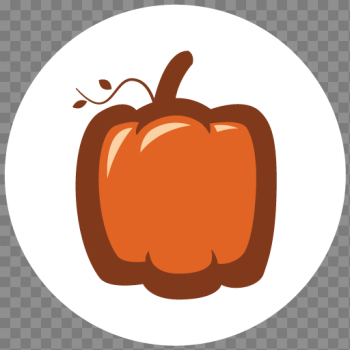 cropped-favicon.png - Great Pumpkin Run