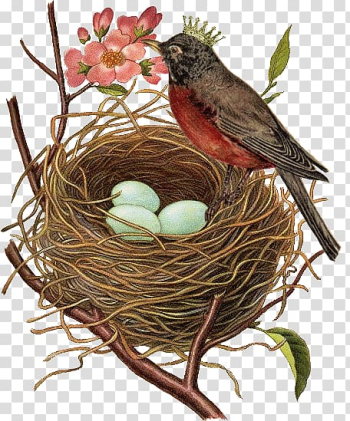 Cross-stitch Bird Autumn Samplers Poster, bird nest logo transparent background PNG clipart