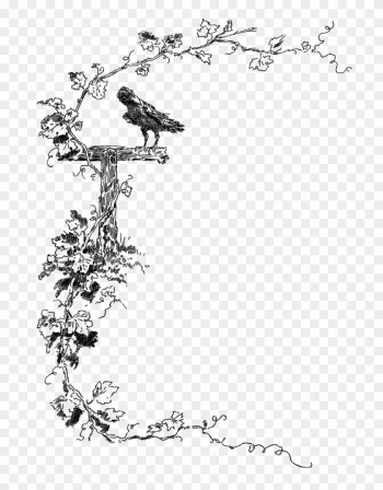 Crow Frame Png Crow Frame Png
