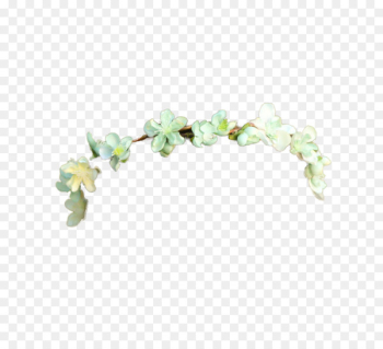 Crown Flower Wreath Garland Headband - Tumblr Transparent Flower Crown Image Png 