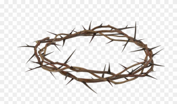 Crown Of Thorns Crown Of Thorns