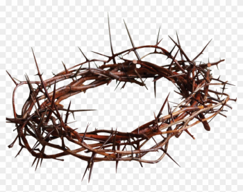 Crown Of Thorns Christian Cross Gospel Thorns, Spines, - Crown Of Thorns Christian Cross Gospel Thorns, Spines,