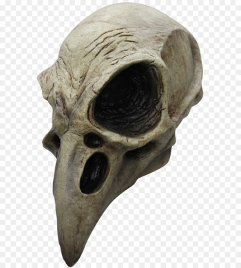 Crows Bird Skull Mask Halloween costume - Bird Crows Bird Skull Mask Halloween costume - Bird