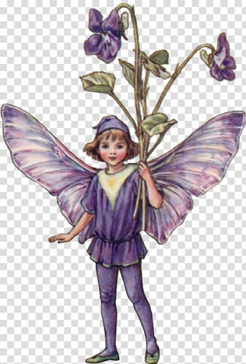 Croydon The Flower Fairies Complete Collection Flower Fairies of the Spring The book of the flower fairies, Fairy transparent background PNG clipart