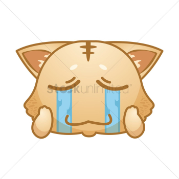 Crying cat expression