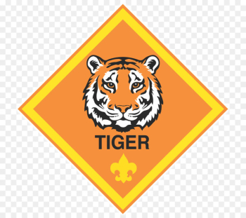 Cub Scouting Cub Scouting Boy Scouts of America - adv badge Cub Scouting Cub Scouting Boy Scouts of America - adv badge