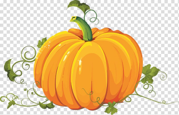 Cucurbita pepo Pumpkin pie Calabaza, pumpkin transparent background PNG clipart