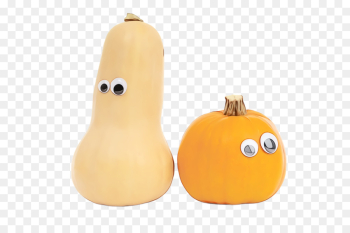 cucurbita squash butternut squash pear pear cucurbita squash butternut squash pear pear