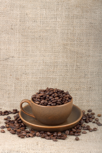 Cup of coffee Cup of coffee