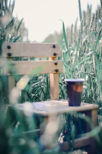 Cup On Wooden Chair Cup On Wooden Chair