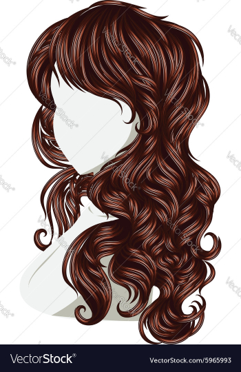 Curly Hair Style vector image Curly Hair Style vector image