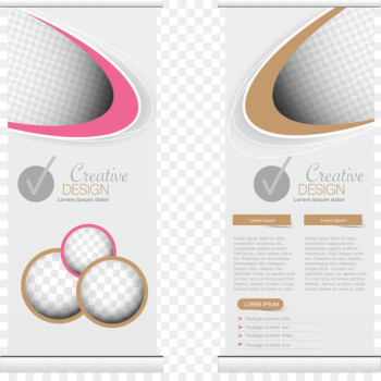 Curve Circle - Vector color curve circle Chin Curve Circle - Vector color curve circle Chin