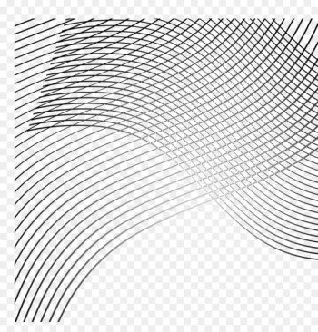 Curve Line Euclidean vector - Black lines curve Curve Line Euclidean vector - Black lines curve