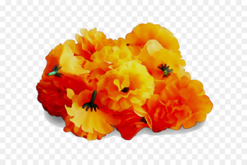 Cut flowers - Cut flowers -
