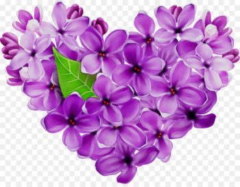 Cut flowers - Cut flowers -