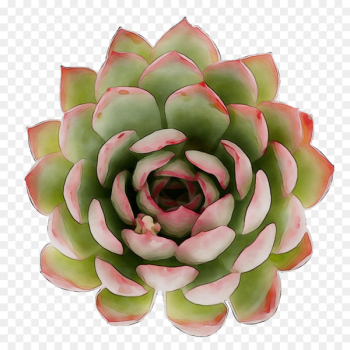 Cut flowers Artificial flower - Cut flowers Artificial flower -