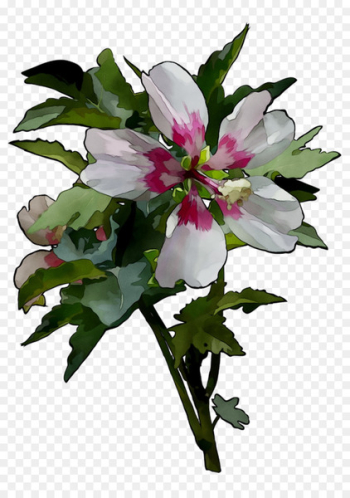 Cut flowers Floral design Herbaceous plant - Cut flowers Floral design Herbaceous plant -