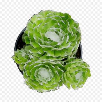 Cut flowers Flower bouquet Flowerpot Artificial flower - Cut flowers Flower bouquet Flowerpot Artificial flower -