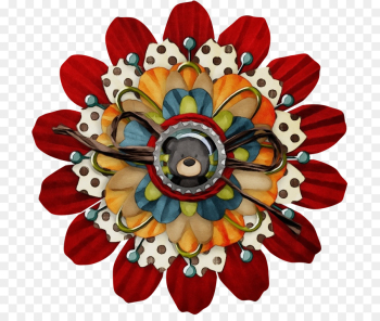 cut flowers petal flower plant wildflower