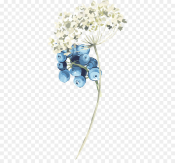 Cut flowers - Romantic flowers Cut flowers - Romantic flowers