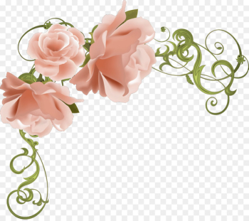Cut flowers Rose Floral design - FLORES Cut flowers Rose Floral design - FLORES
