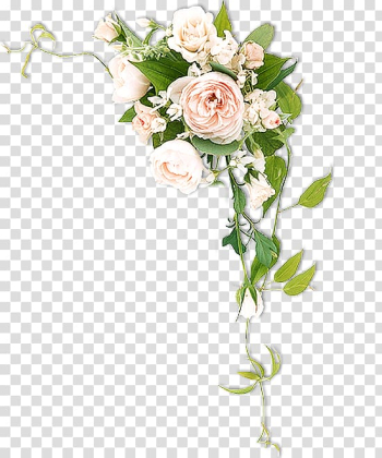 Cut flowers Rose, peonies transparent background PNG clipart Cut flowers Rose, peonies transparent background PNG clipart