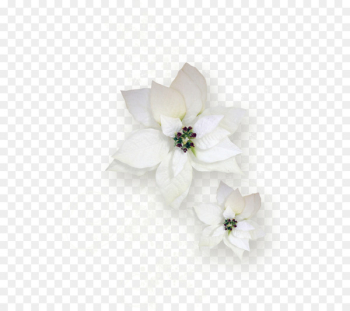 Cut flowers Rose Petal Flower bouquet - flower 