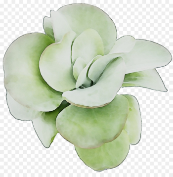 Cut flowers Tableware - Cut flowers Tableware -