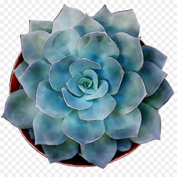 Cut flowers Turquoise - Cut flowers Turquoise -