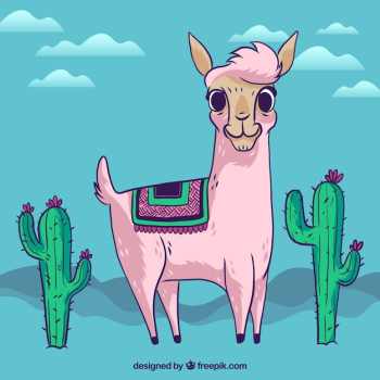 Cute alpaca background with cactus Cute alpaca background with cactus