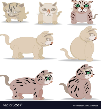 Cute and funny little cat set vector image Cute and funny little cat set vector image