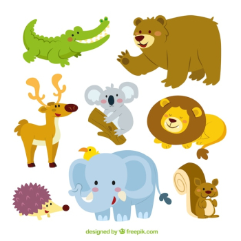 Cute animals collection Cute animals collection