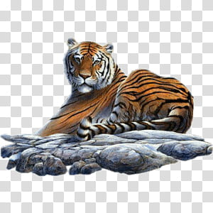 Cute animals II, tiger transparent background PNG clipart Cute animals II, tiger transparent background PNG clipart