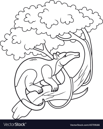 cute anteater cute anteater