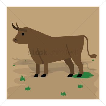 Cute bull Cute bull