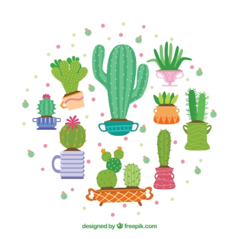 Cute cactus collection Cute cactus collection