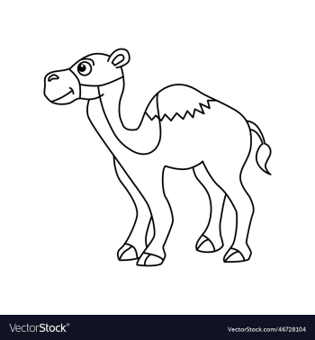 cute camel cartoon for kids coloring book cute camel cartoon for kids coloring book